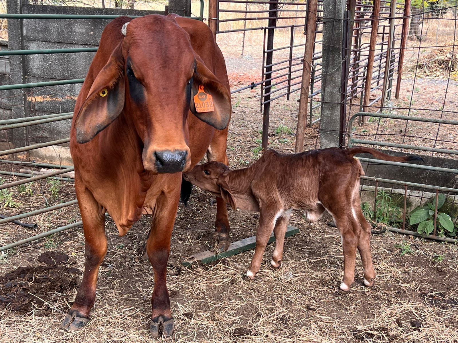 WhatsApp Image 2025-06-28 at 12.35.38