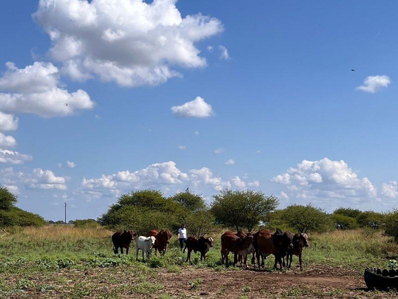 WhatsApp Image 2025-04-26 at 12.24.06