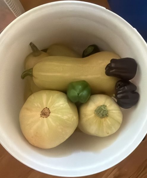 WhatsApp Image 2025-10-26 at 15.15.11