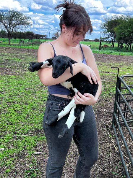 WhatsApp Image 2025-11-09 at 18.48.56